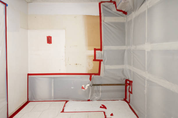 Best Forensic Mold Investigation  in Purdy, MO