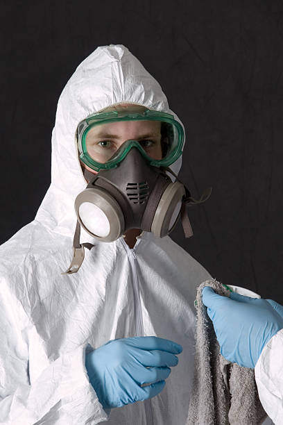 Trusted Purdy, MO Mold Removal Experts